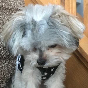 Meet your Posher, Kalista